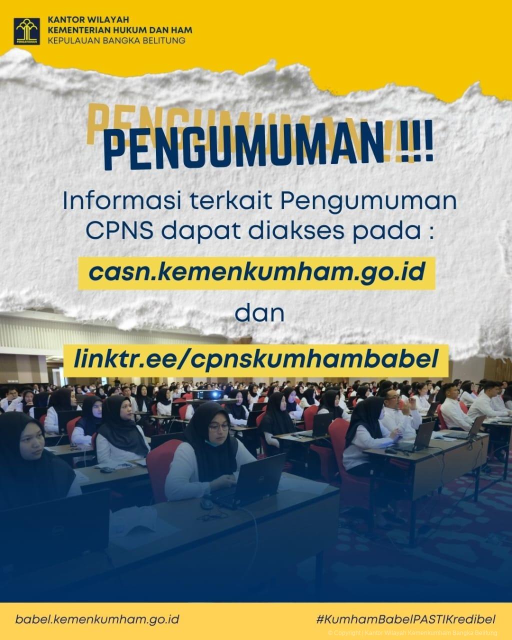 pengumuman cpns